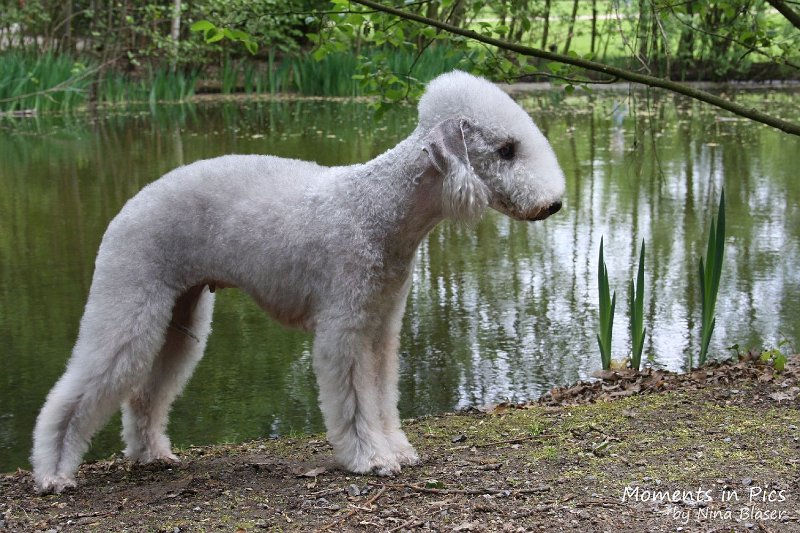 2010-05-01 Svet und Aveline (17).JPG